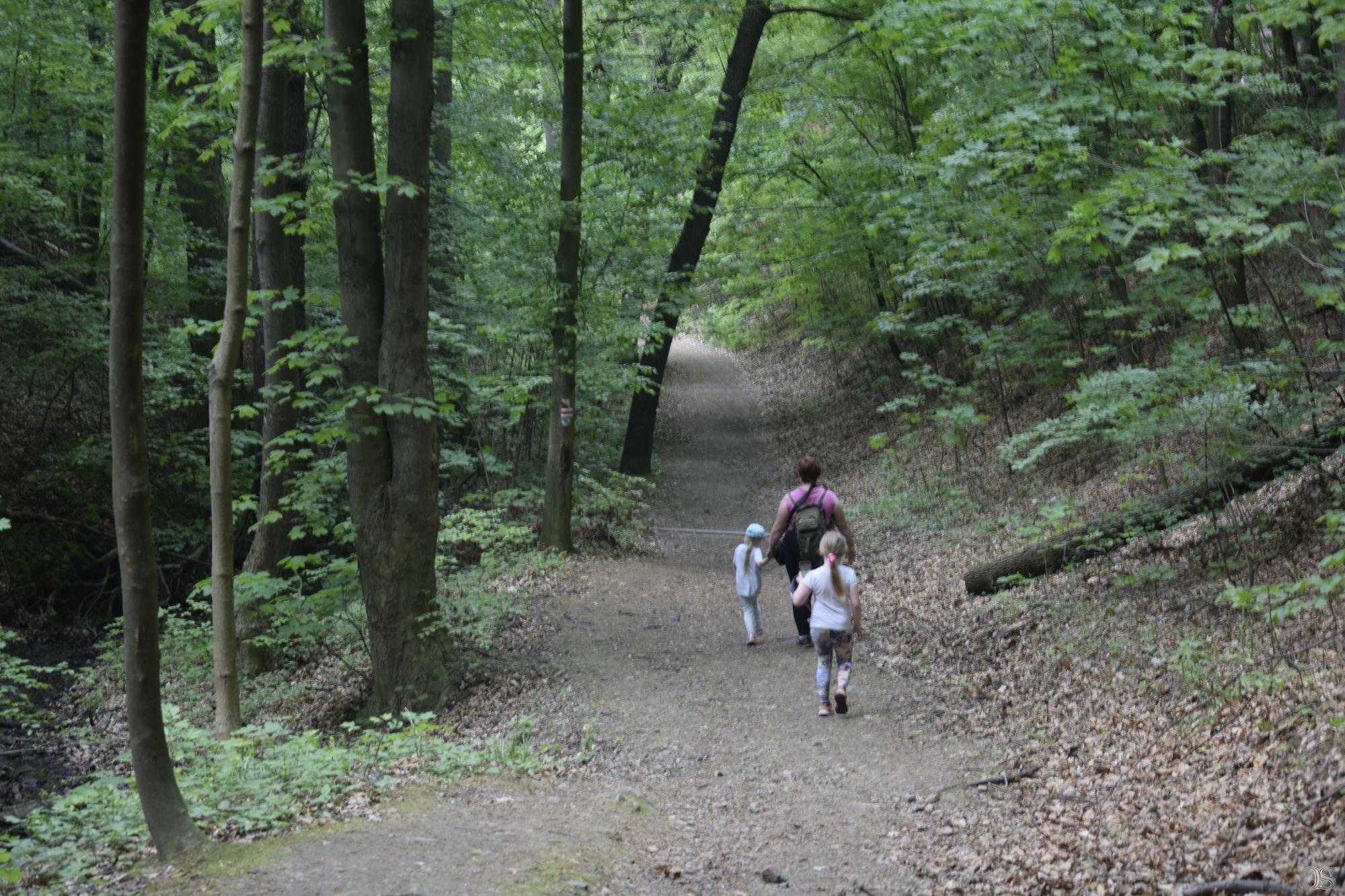 Sciezka Hochbergow 18.jpg
